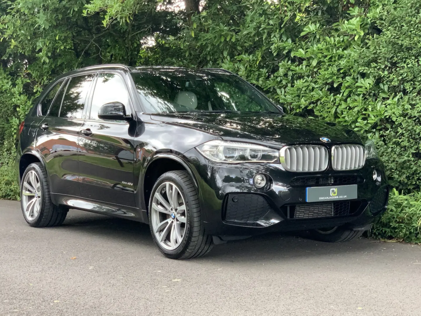 BMW X5 X5 2.5d xDrive M Sport 5