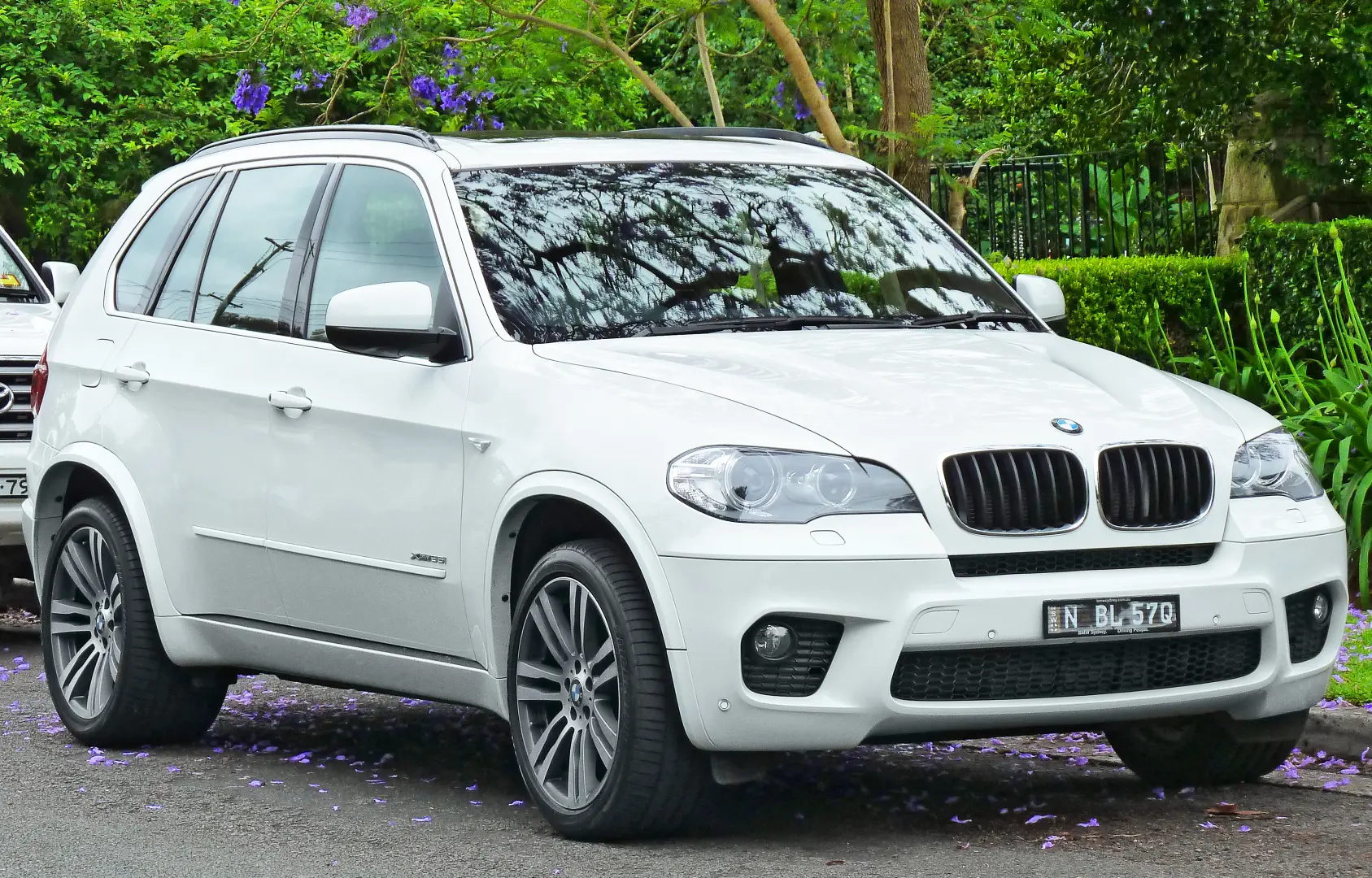 BMW X5 X5 2.5d xDrive Premium 4
