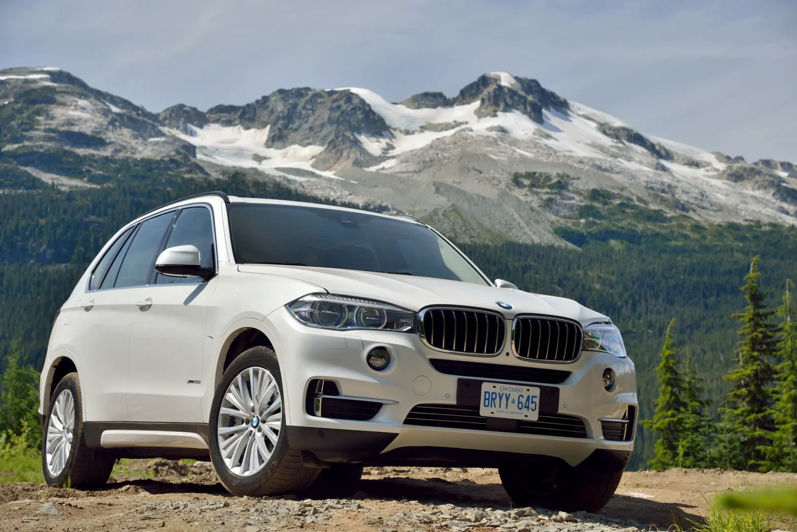 BMW X5 X5 2.5d xDrive Pure Luxury 5
