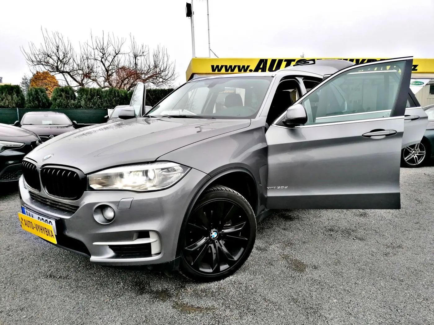 BMW X5 X5 3.0d xDrive Standart 4