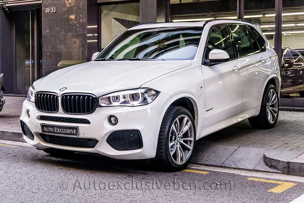 BMW X5 X5 3.0d xDrive Standart 0