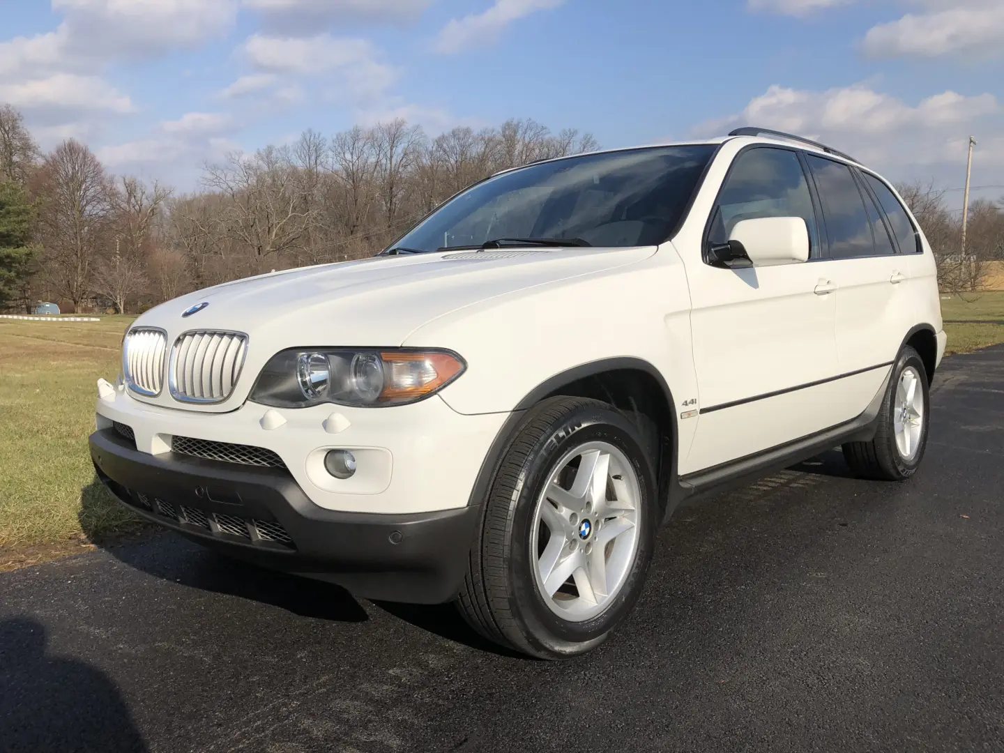 BMW X5 X5 4.4i Standart 4