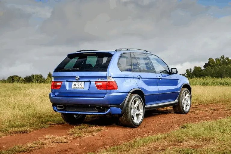 BMW X5 X5 4.6is Standart 5