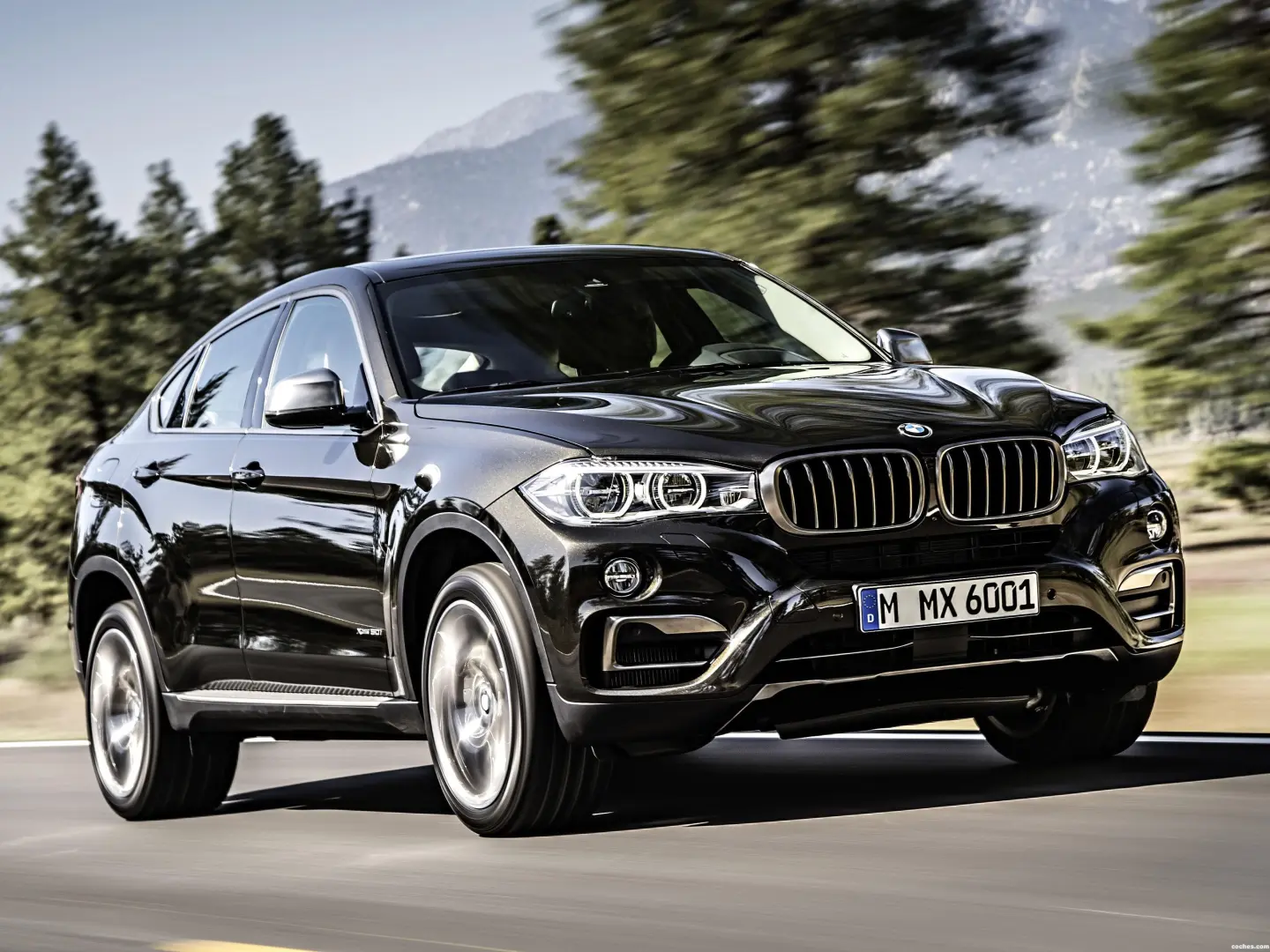 BMW X6 X6 3.0d xDrive Standart 4