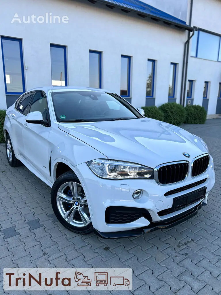 BMW X6 X6 3.0d xDrive Standart 5