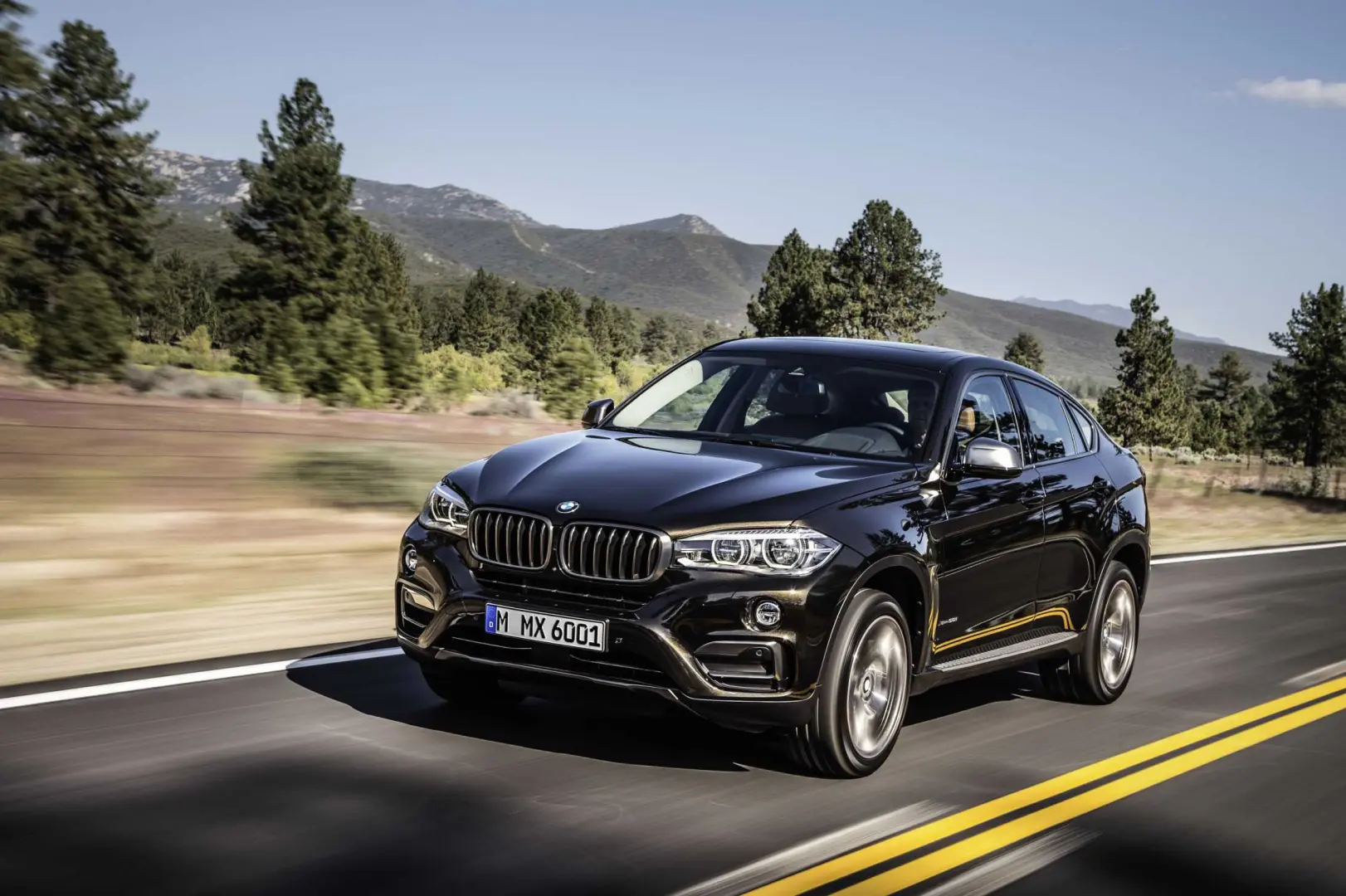 BMW X6 X6 4.0d xDrive Pure 6