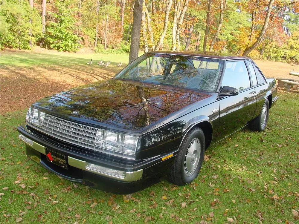 Buick Le Sabre Le Sabre 3.8 Custom 0