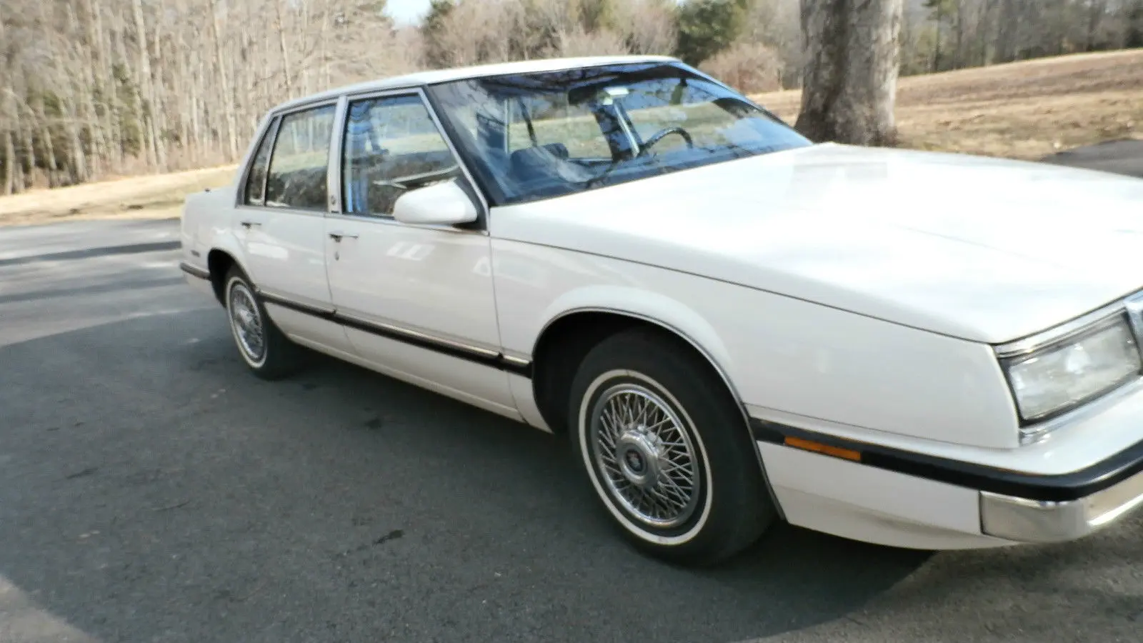 Buick Le Sabre Le Sabre 3.8 Custom 0