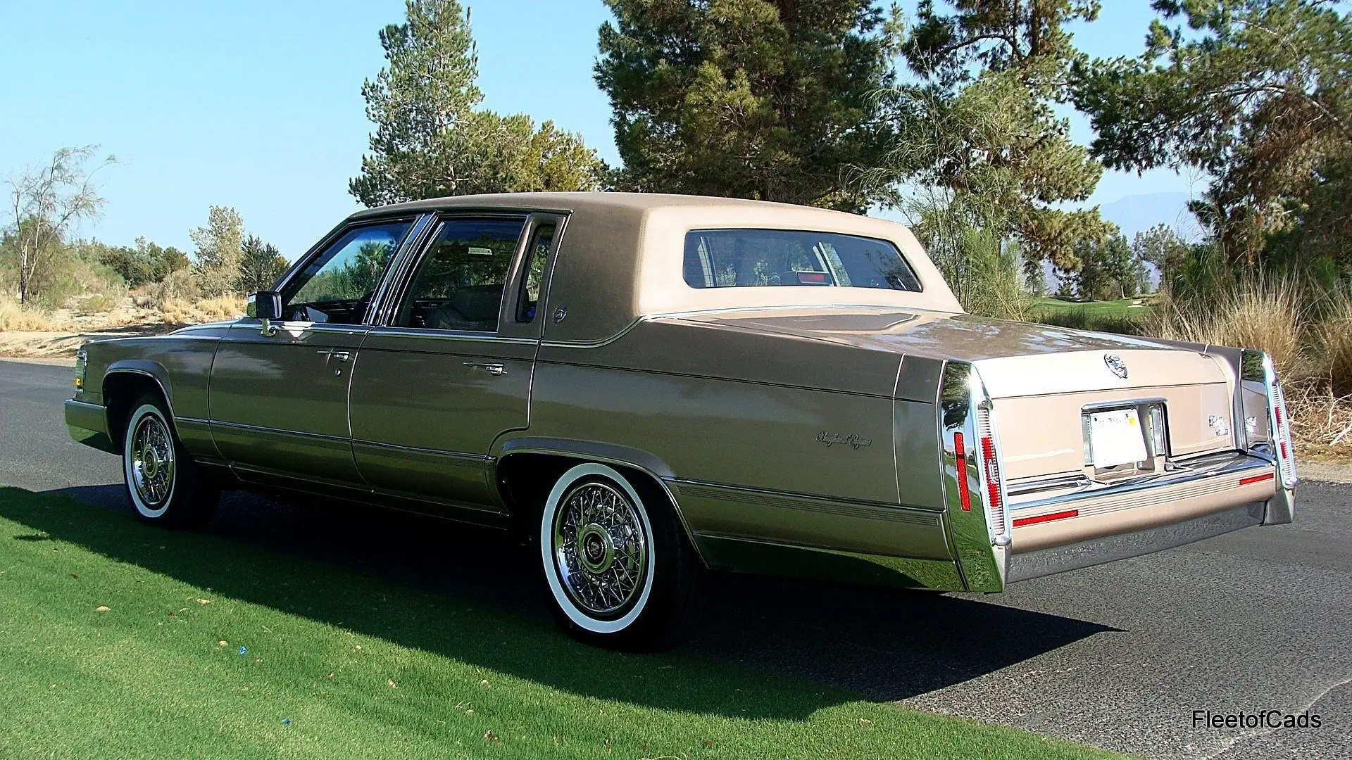 Cadillac Brougham Brougham 5.7 STD 0