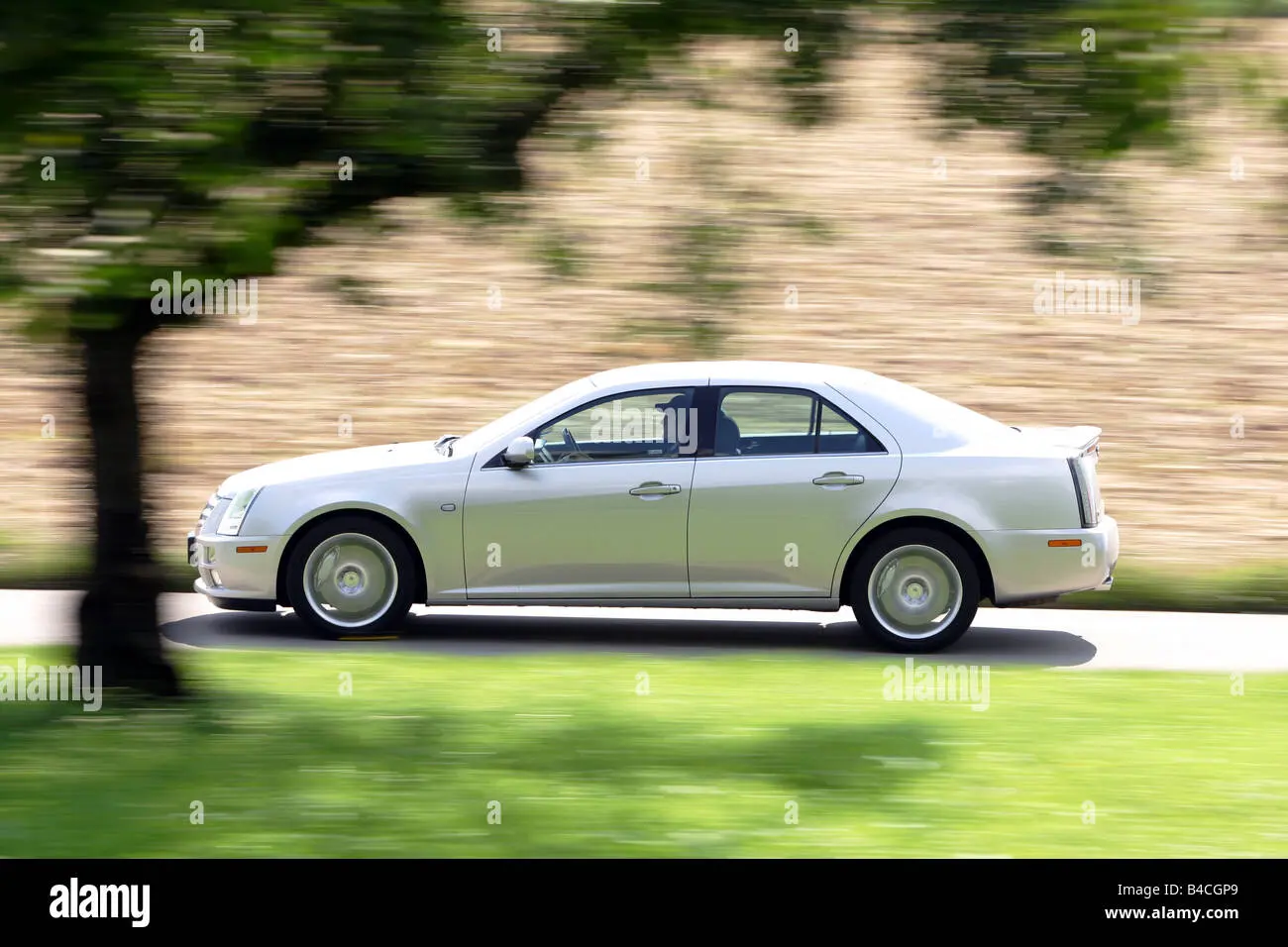 Cadillac STS STS 4.6 V8 Elegance 4
