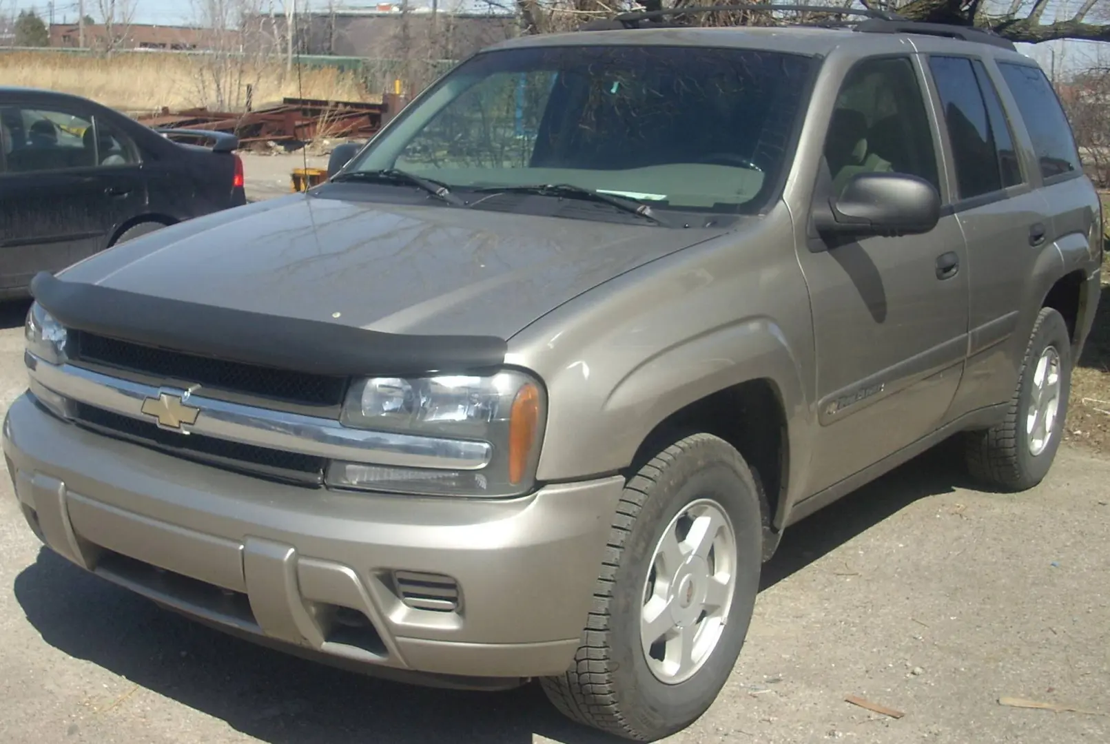 Chevrolet  Trail Blazer 4.2 LT 5