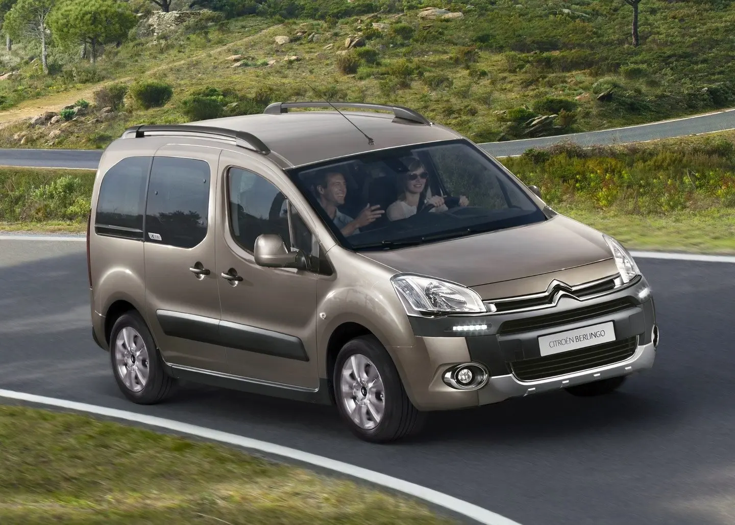 Citroen Berlingo Berlingo 1.6 HDI Maxi 3