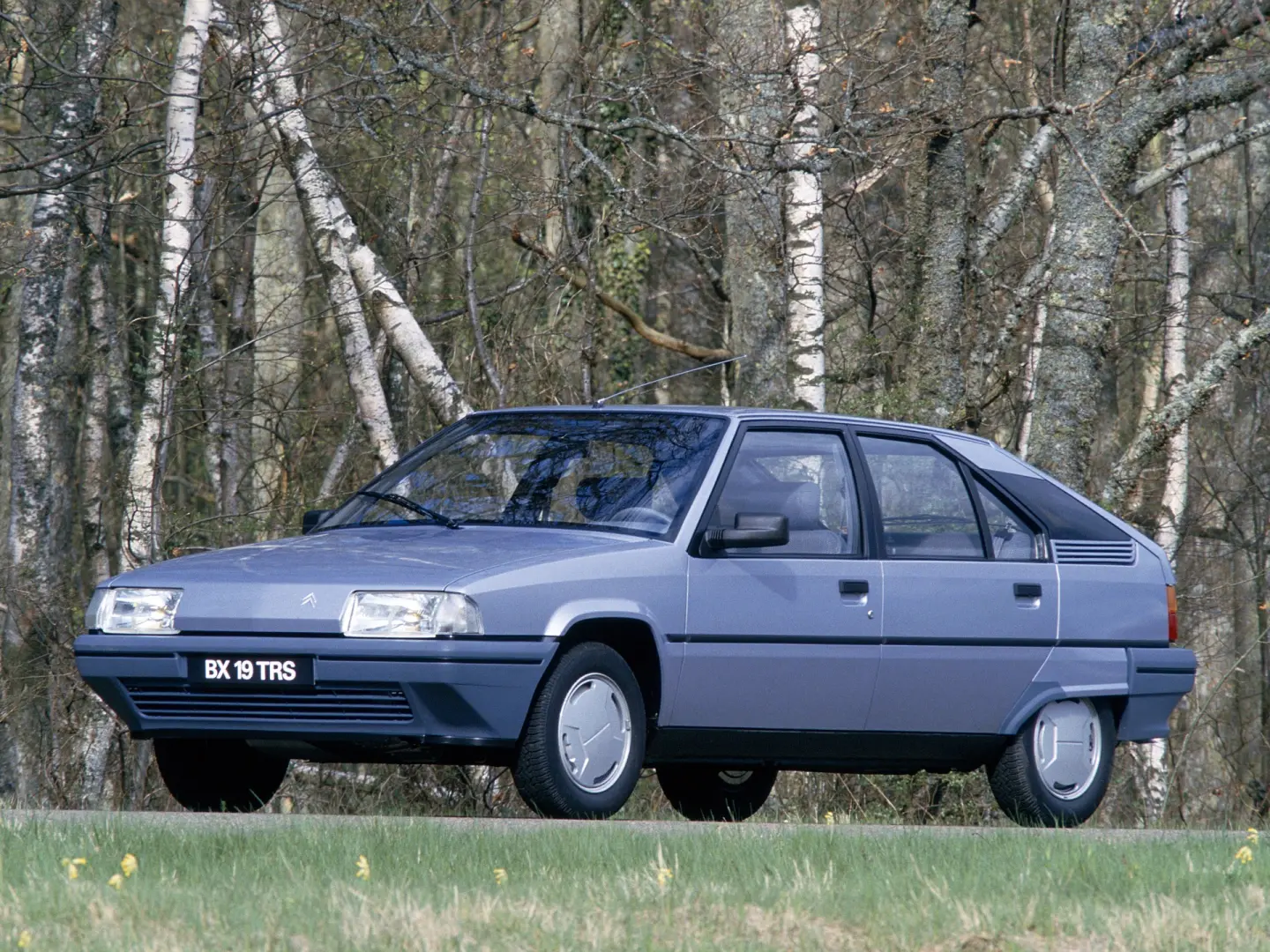Citroen BX BX 15 TGE 4