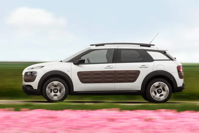 Citroen C4 Cactus C4 Cactus 1.2 e-VTI PureTech Start&Stop Shine ETG 3