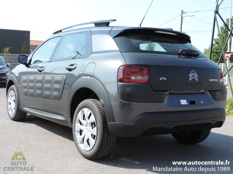 Citroen C4 Cactus C4 Cactus 1.2 e-VTI Start&Stop Feel ETG 2