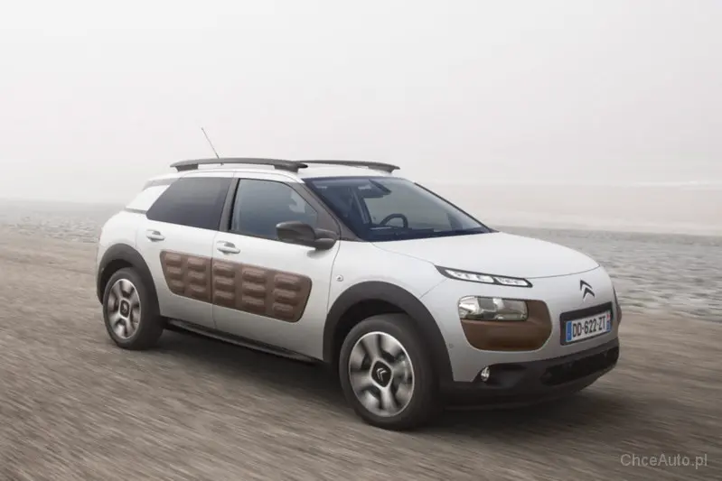 Citroen C4 Cactus C4 Cactus 1.2 PureTech Shine Edition 3