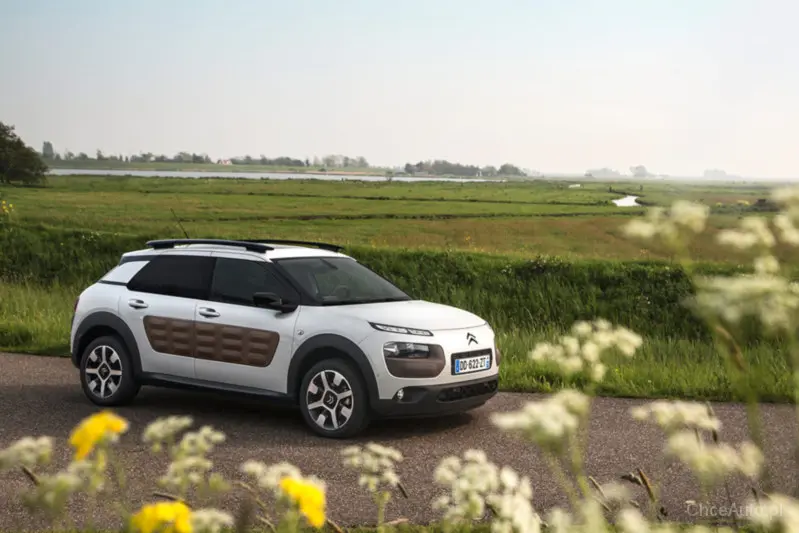 Citroen C4 Cactus C4 Cactus 1.2 PureTech Shine Edition 3