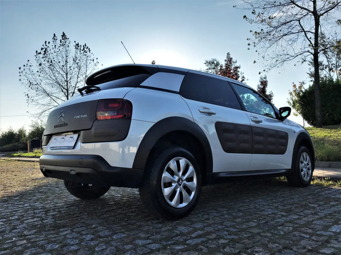 Citroen C4 Cactus C4 Cactus 1.6 BlueHDI Feel 3