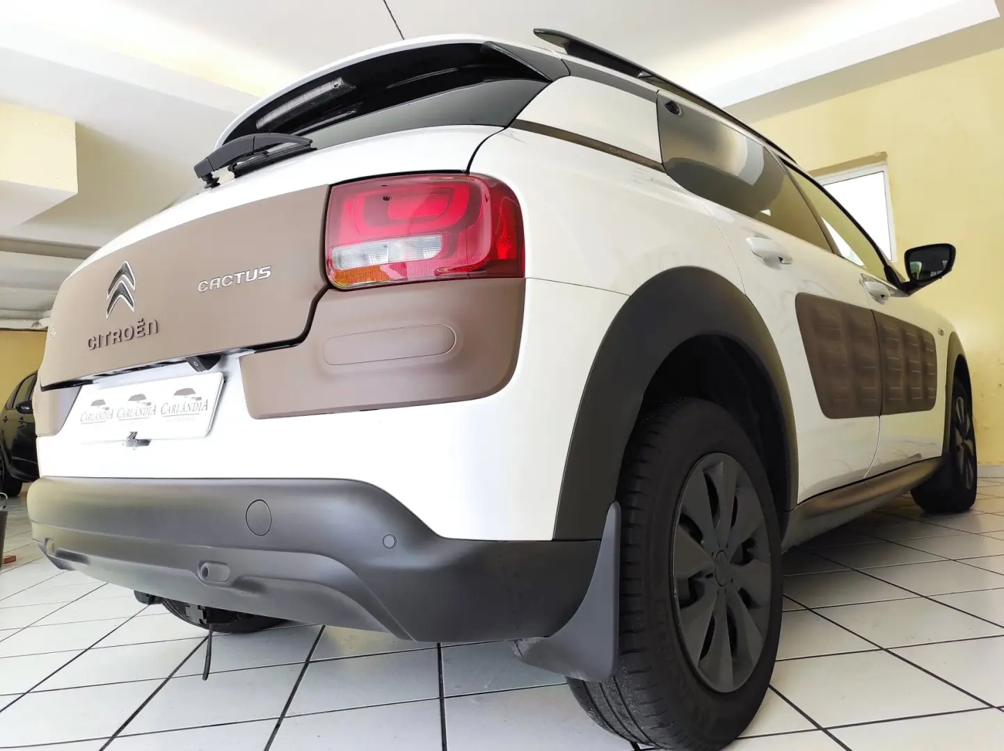 Citroen C4 Cactus C4 Cactus 1.6 BlueHDI Shine Edition 5