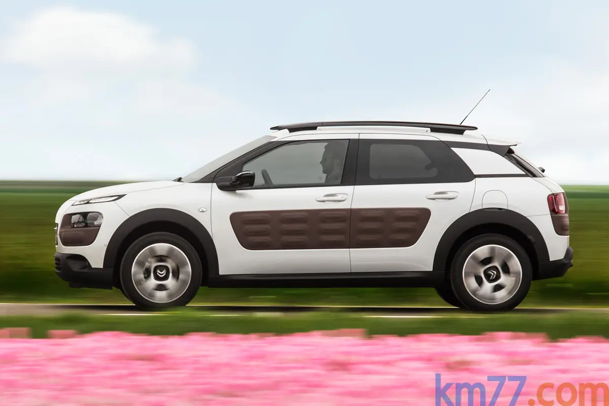 Citroen C4 Cactus C4 Cactus 1.6 e-HDI Shine Edition ETG6 4