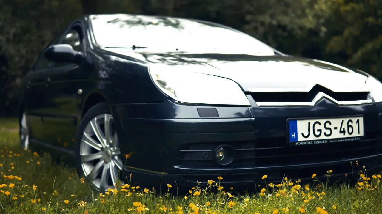 Citroen C5 C5 2.0 SX 5