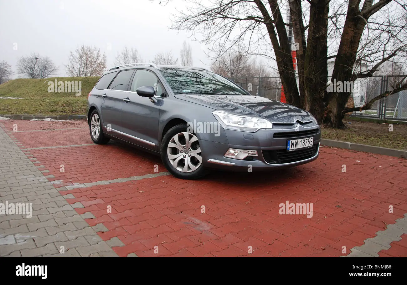 Citroen C5 C5 Tourer 2.0 SX 6