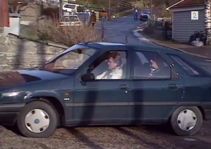 Citroen ZX ZX 1.9 D Avantage 3