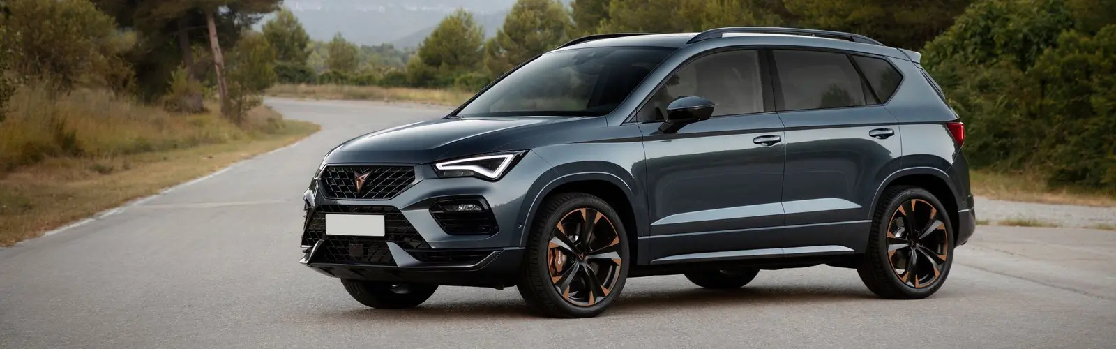 Cupra Ateca Ateca 2.0 TSI 4Drive DSG 6