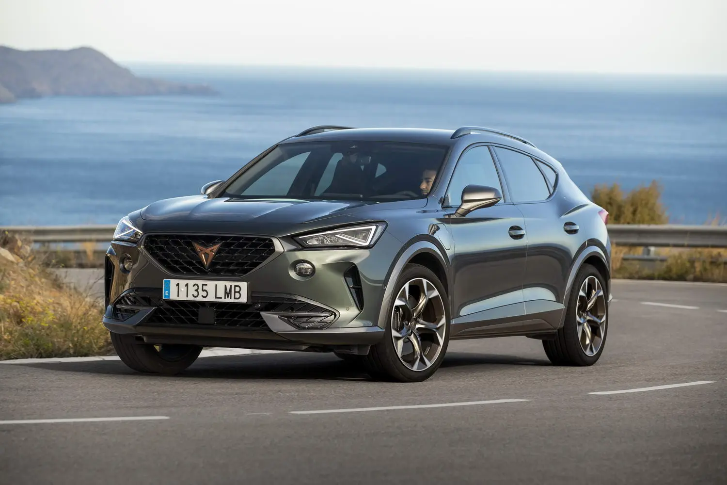 Cupra Formentor Formentor 1.4 E-Hybrid DSG 0