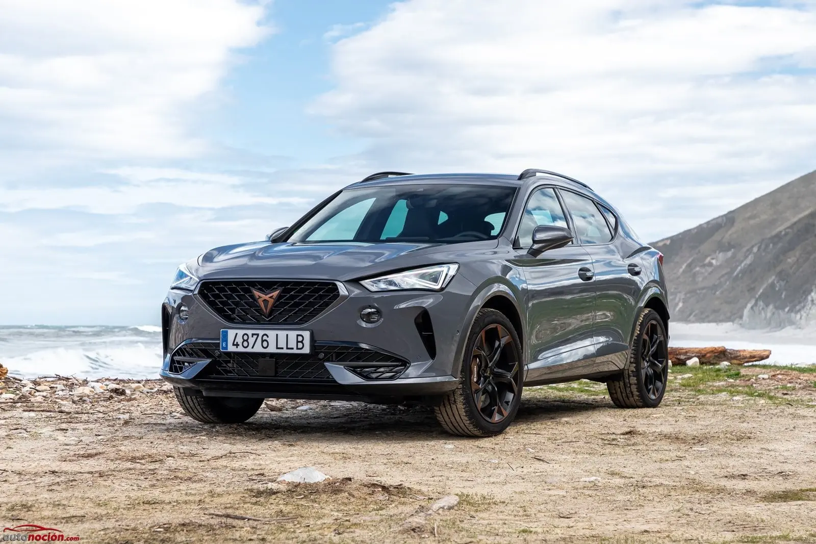 Cupra Formentor Formentor VZ 2.0 TSI 4Drive DSG 4