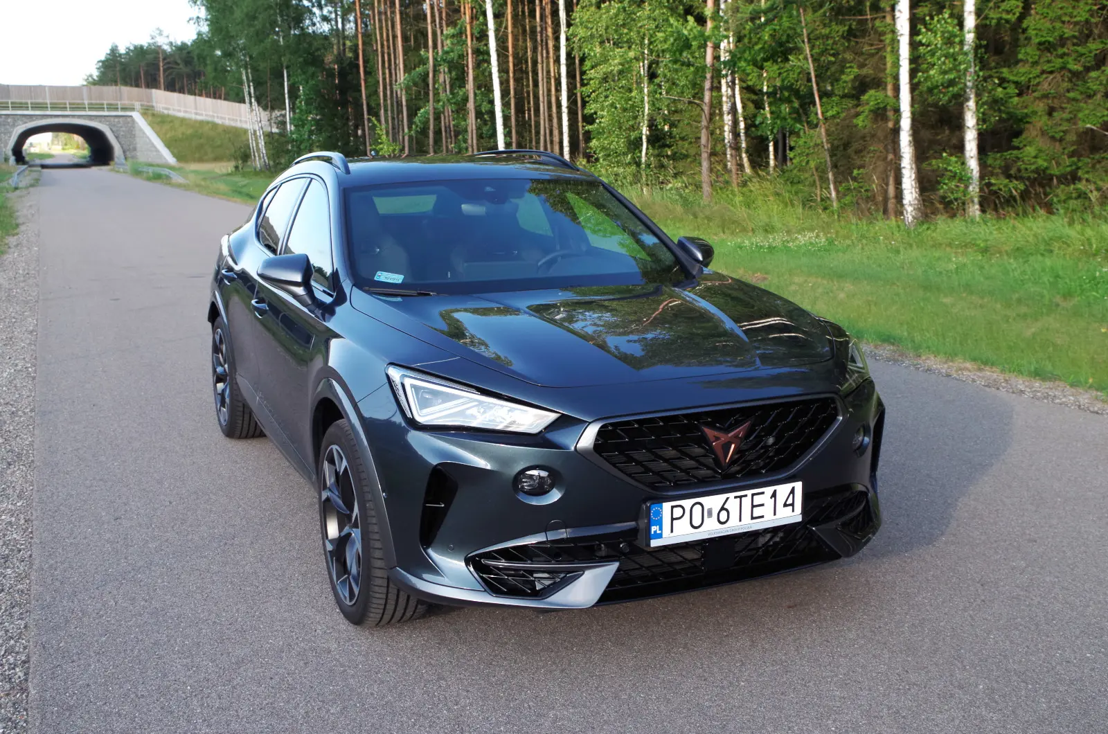 Cupra Formentor Formentor VZ 2.0 TSI 4Drive DSG 6