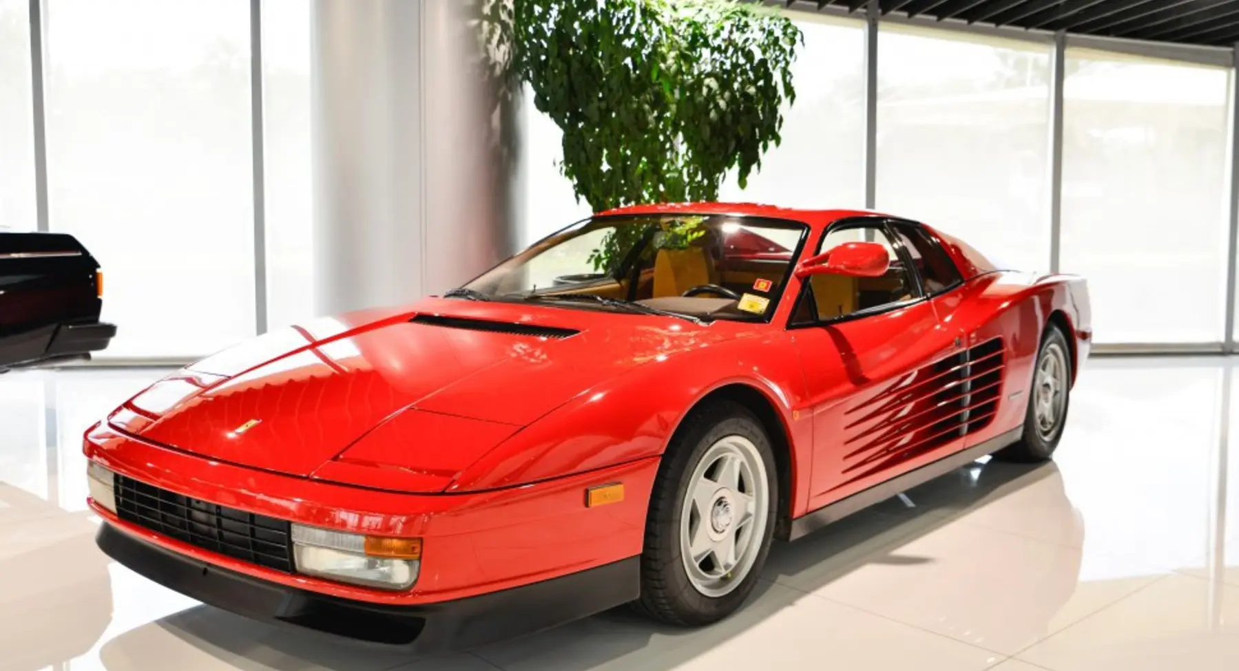 Ferrari  Testarossa 4.9i V12 7