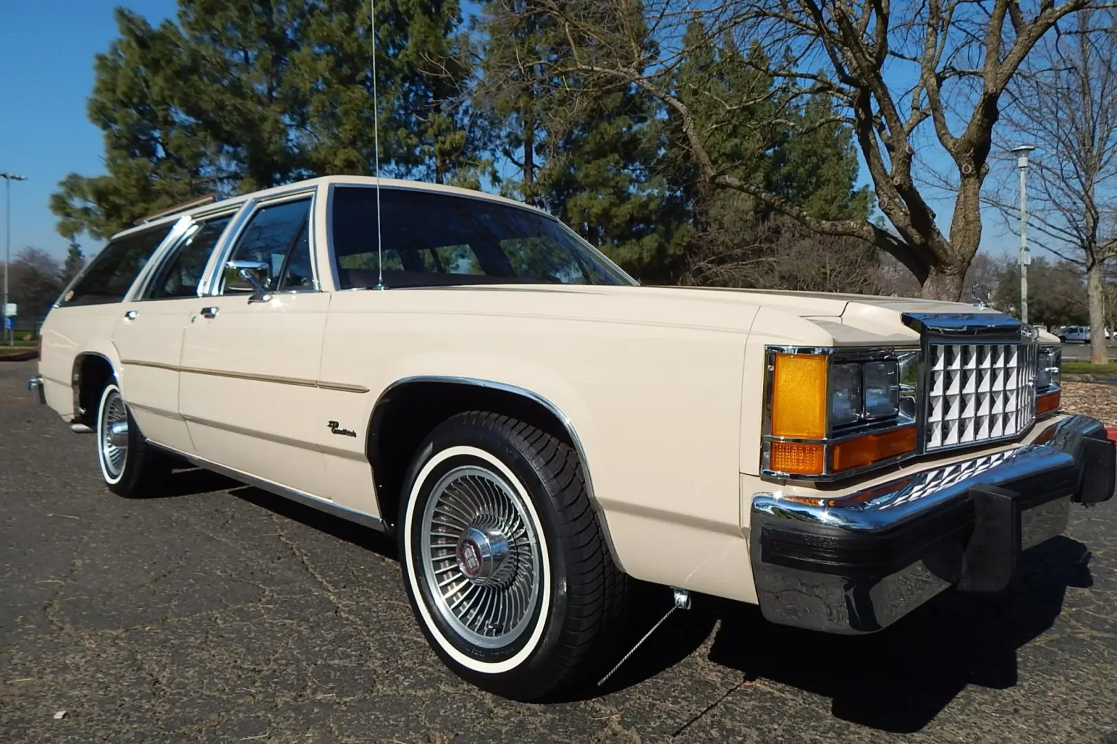 Ford Crown Victoria Crown Victoria 4.9 LTD 1