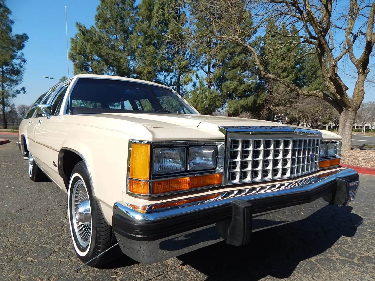 Ford Crown Victoria Crown Victoria 4.9 LTD 2