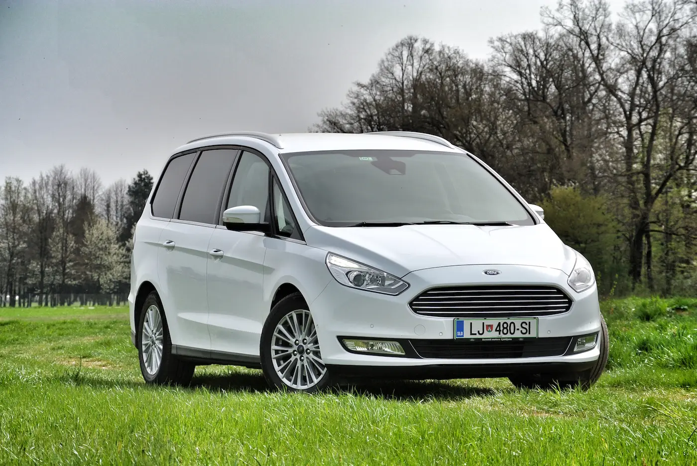 Ford Galaxy Galaxy 2.0 TDCI Titanium Powershift 3