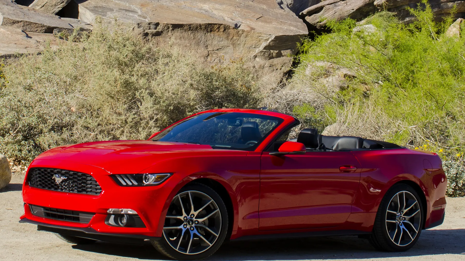 Ford Mustang Mustang 2.3 EcoBoost 1