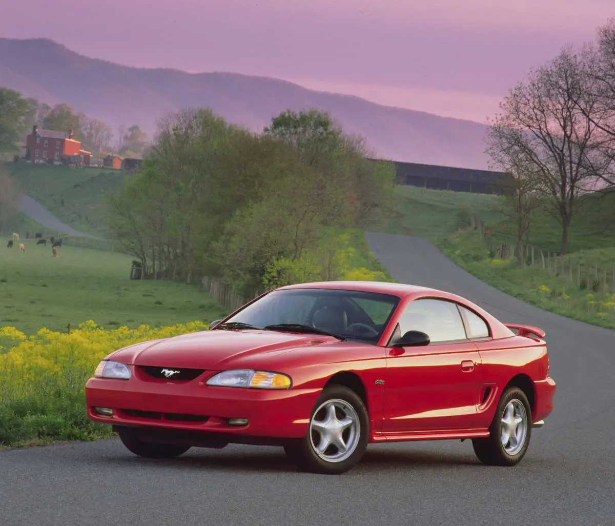 Ford Mustang Mustang 4.6 GT 6