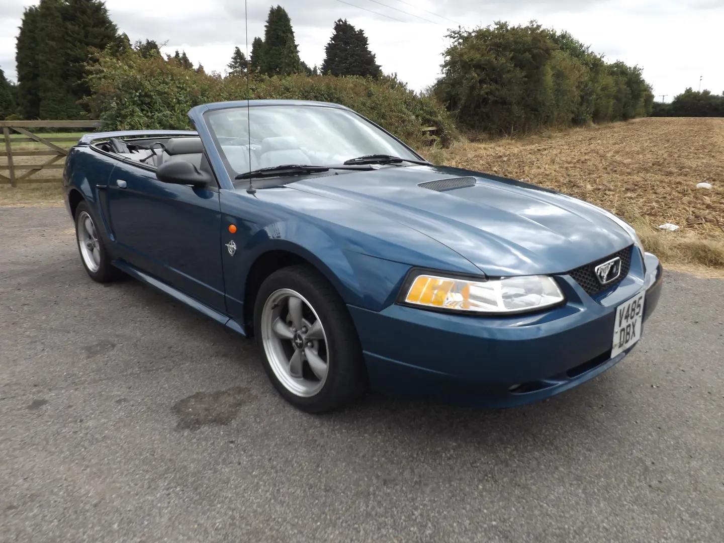Ford Mustang Mustang 4.6 V8 GT 0