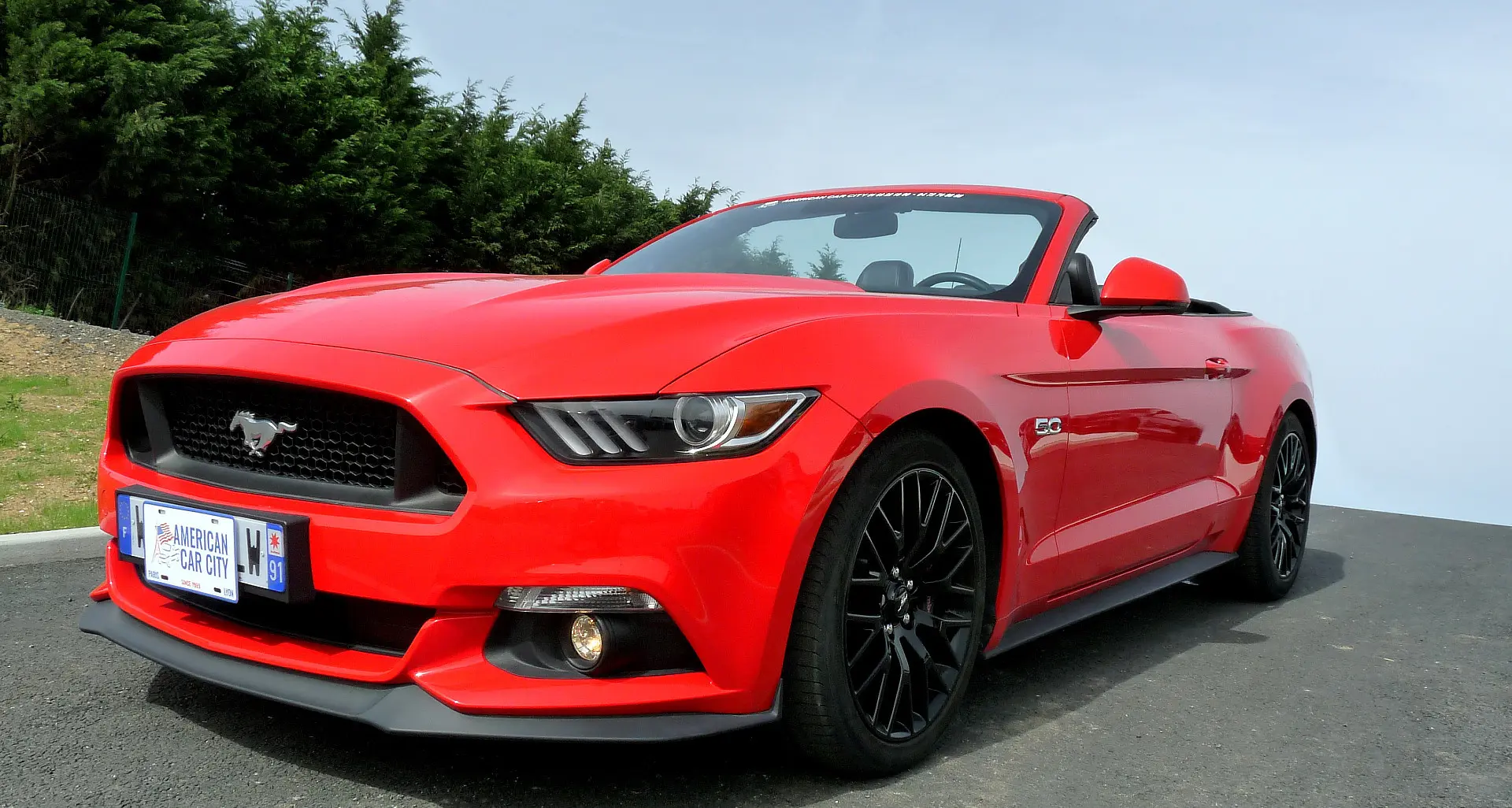Ford Mustang Mustang 4.6 V8 GT 2