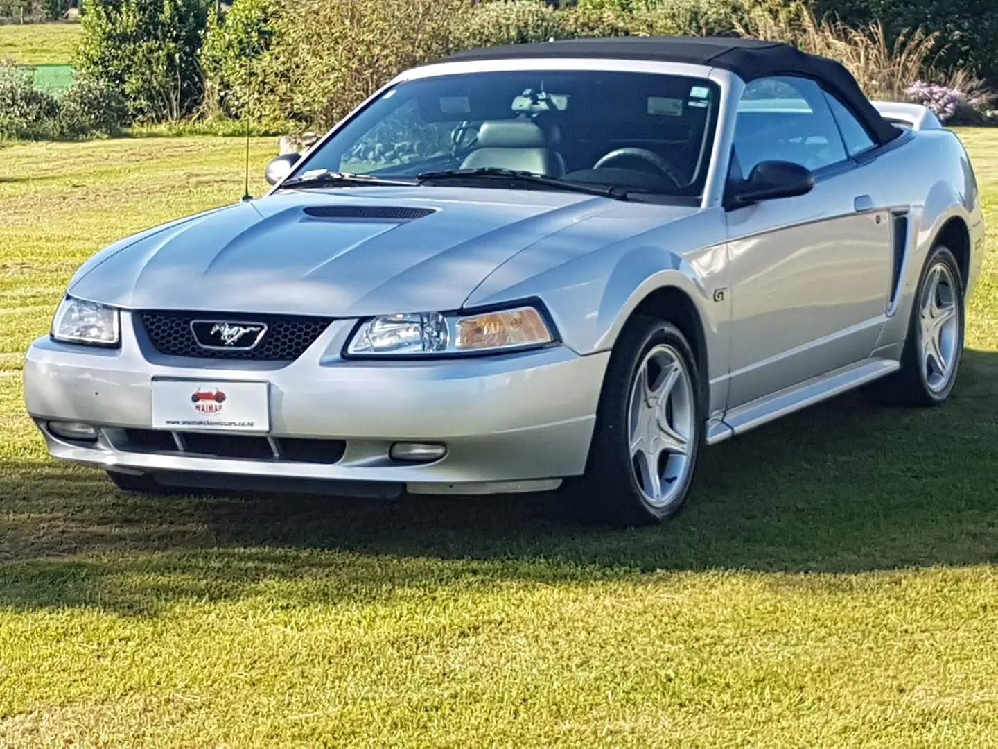 Ford Mustang Mustang 4.6 V8 GT 4