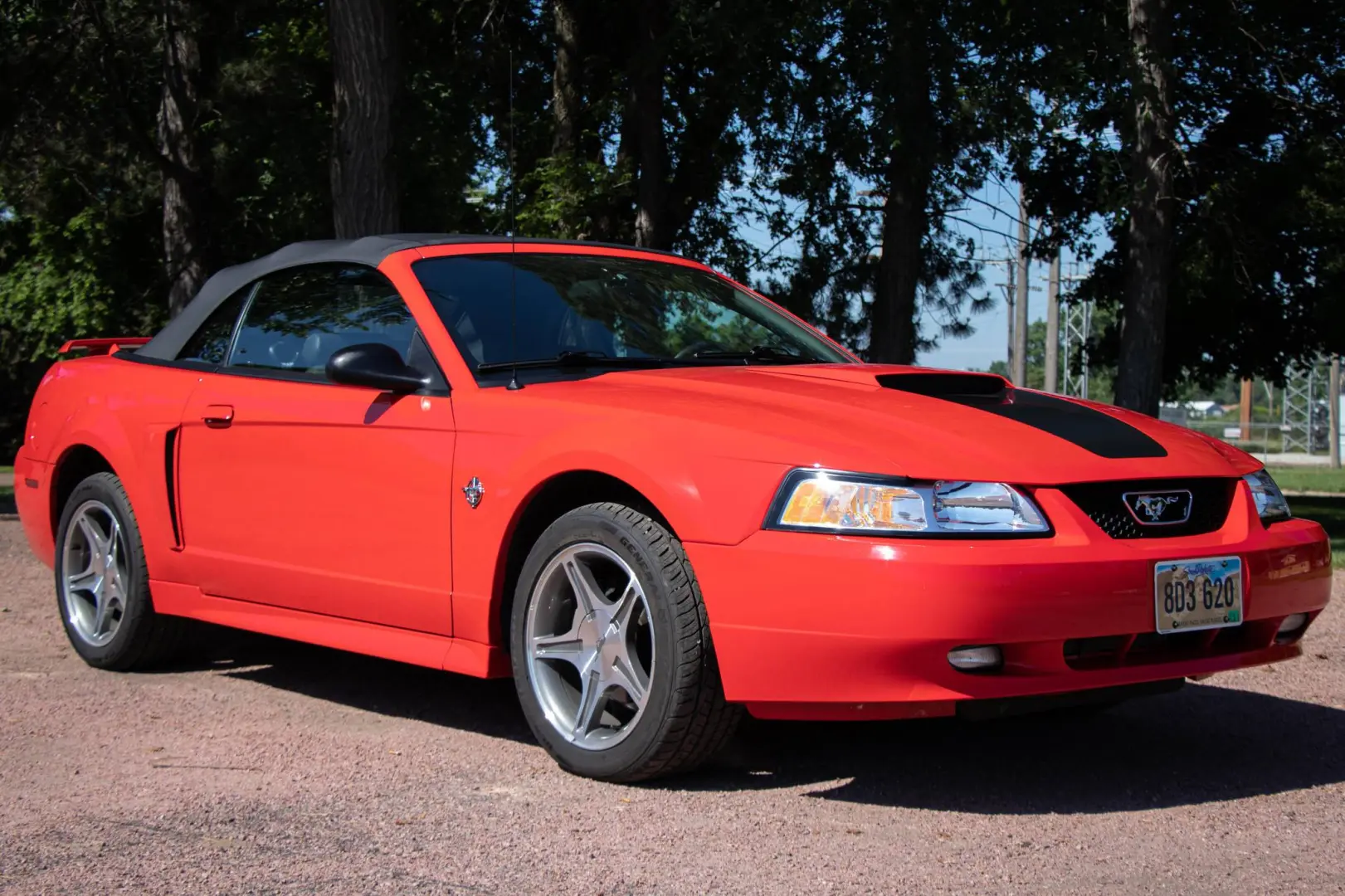 Ford Mustang Mustang 4.6 V8 GT 5