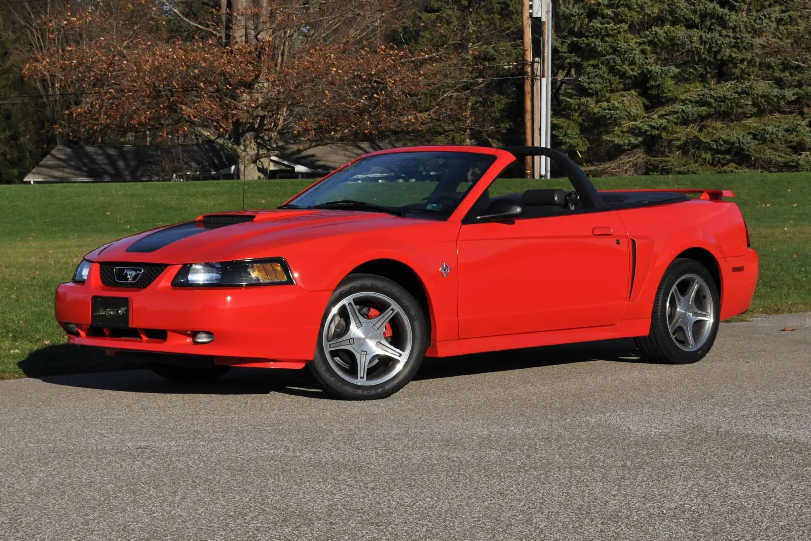 Ford Mustang Mustang 4.6 V8 GT 5