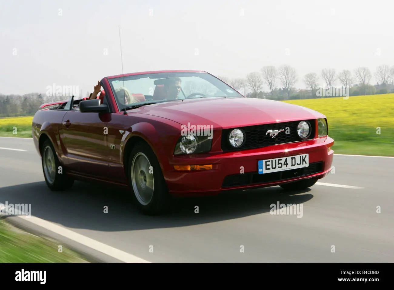 Ford Mustang Mustang 4.6 V8 GT 5
