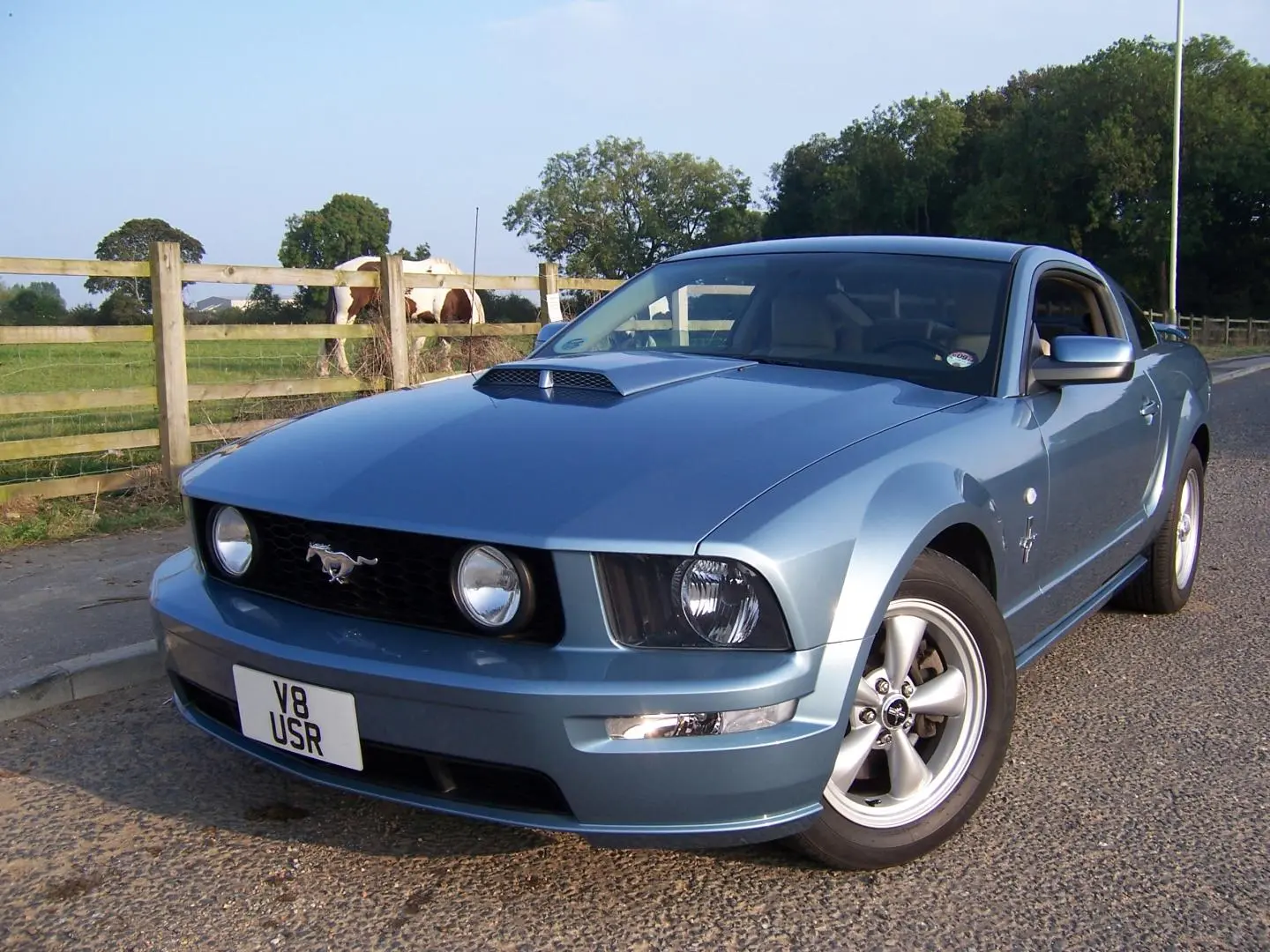 Ford Mustang Mustang 4.6 V8 GT 4