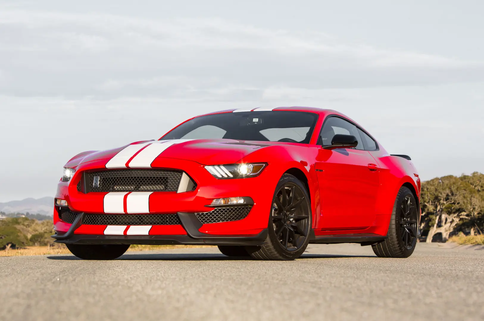Ford Mustang Mustang Fastback GT350 Shelby 1