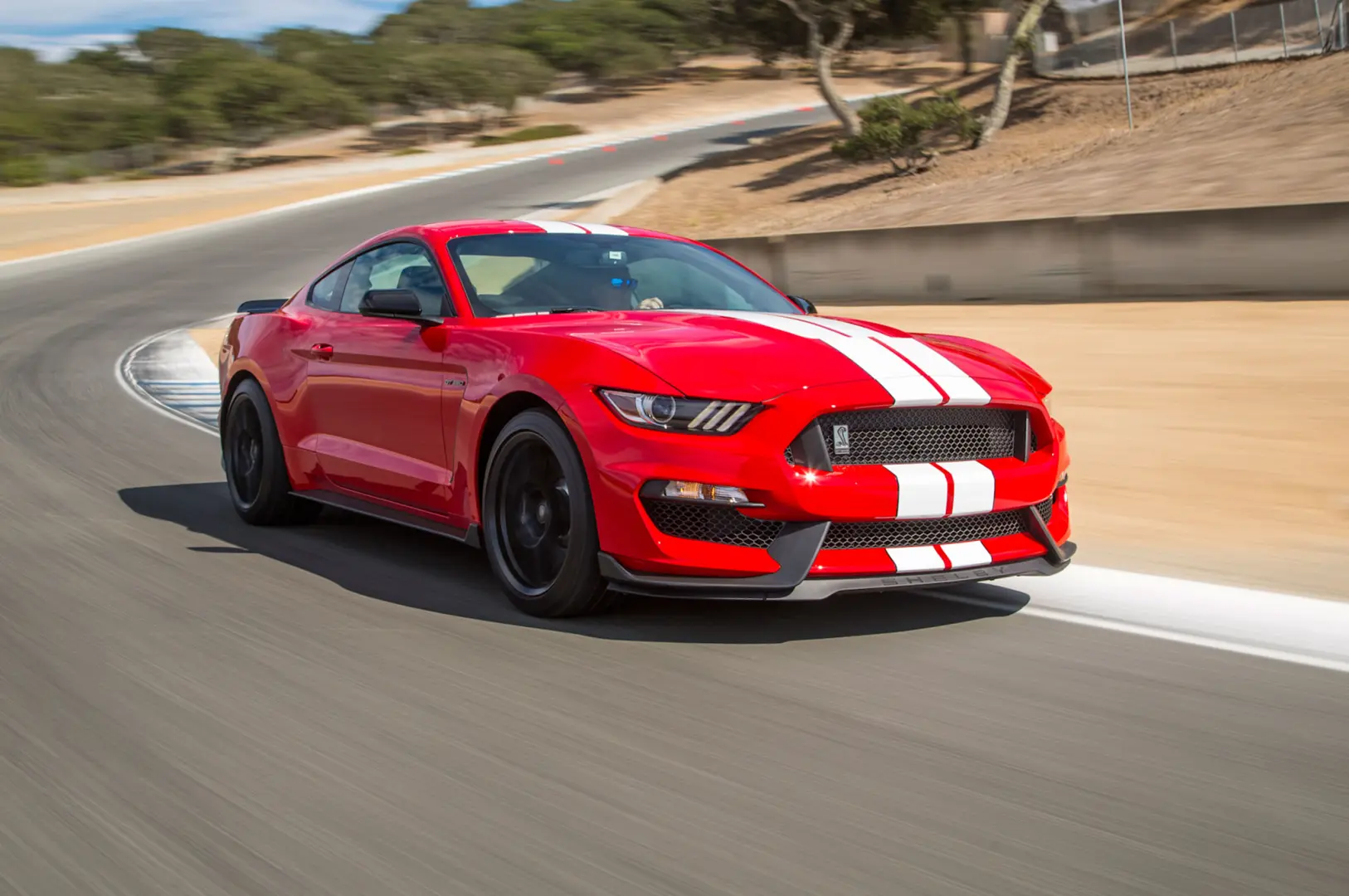 Ford Mustang Mustang Fastback GT350 Shelby 3