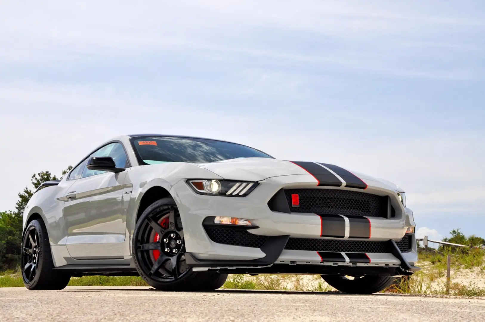 Ford Mustang Mustang Fastback GT350 Shelby R 6