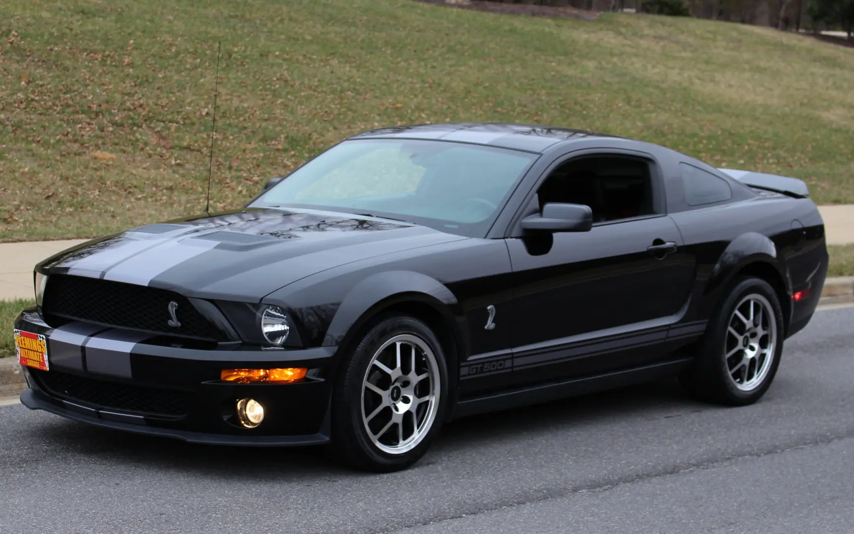 Ford Mustang Mustang GT500 Shelby 2