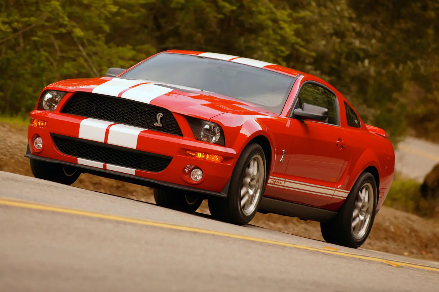 Ford Mustang Mustang GT500 Shelby 3