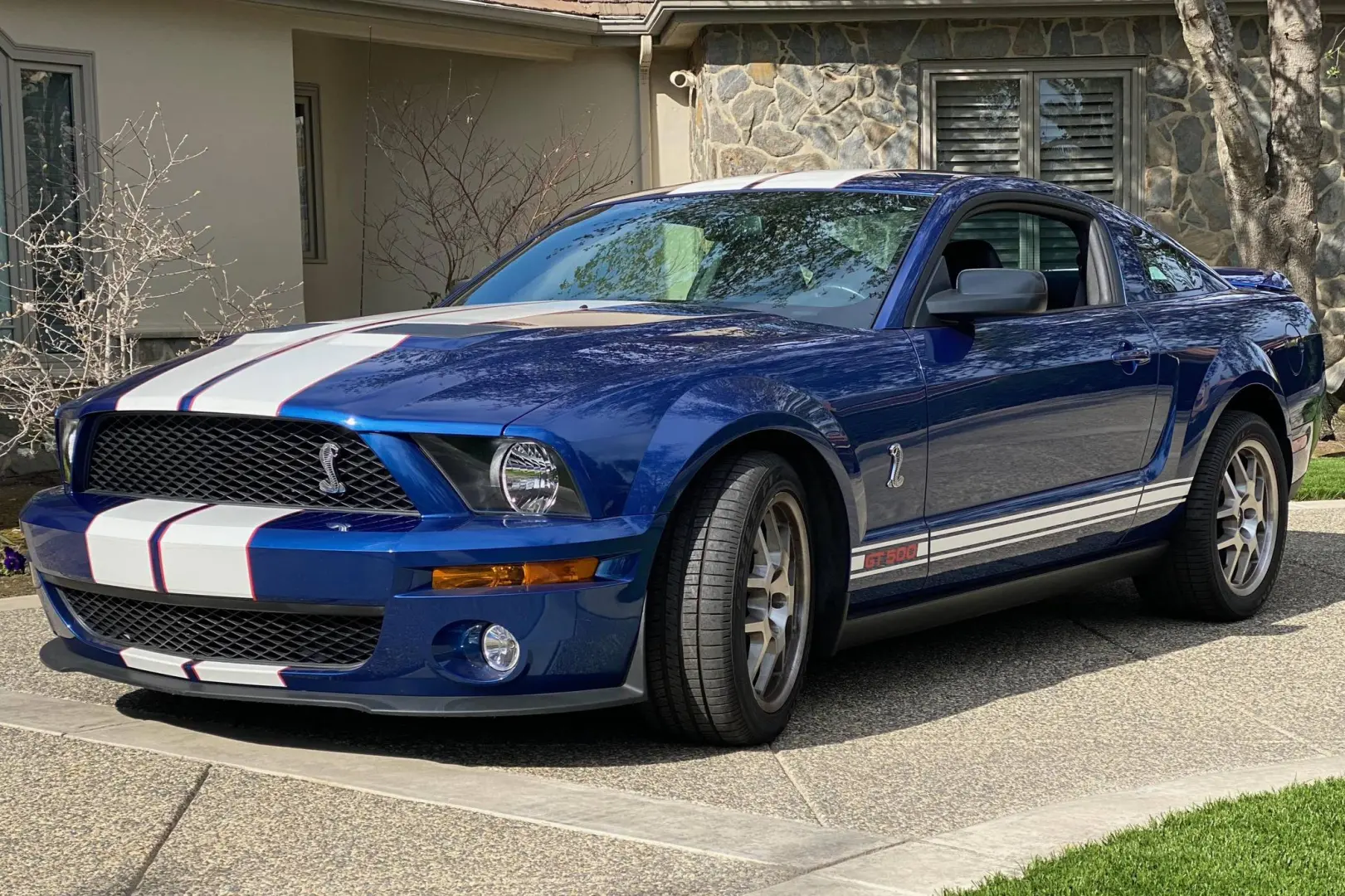 Ford Mustang Mustang GT500 Shelby 5
